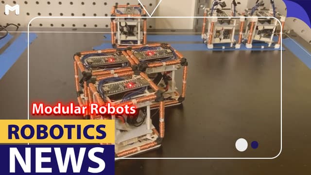 Modular Self-Reconfigurable Robots