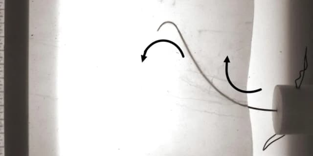 Fracture-Directed Steerable Needles